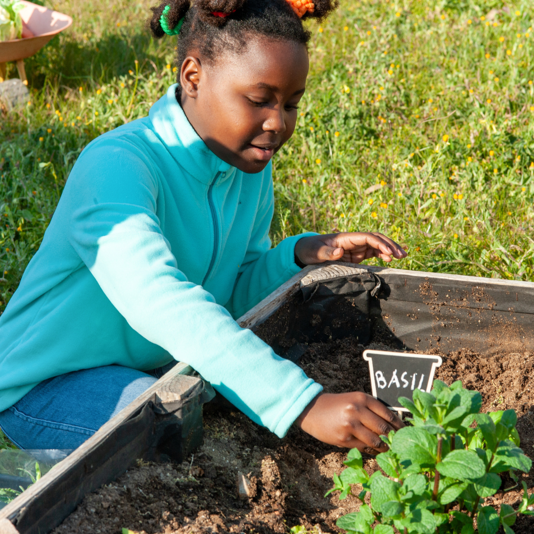 Child planting in a garden