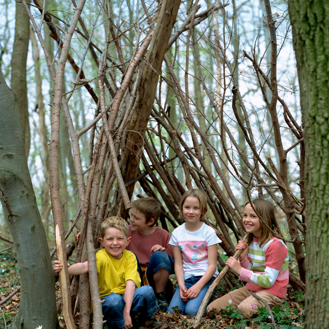 Children building a fort with branches