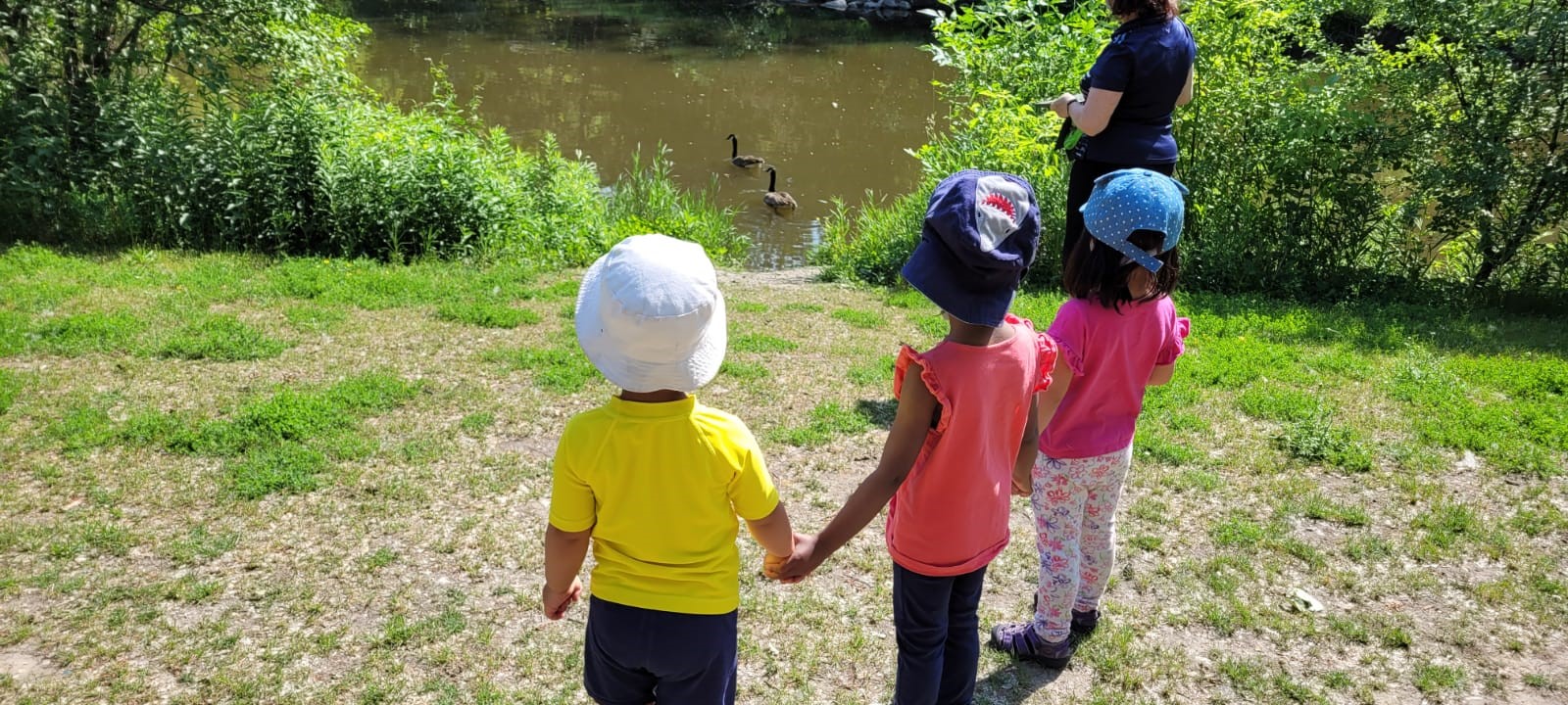 3 children holding hands on a nature walk