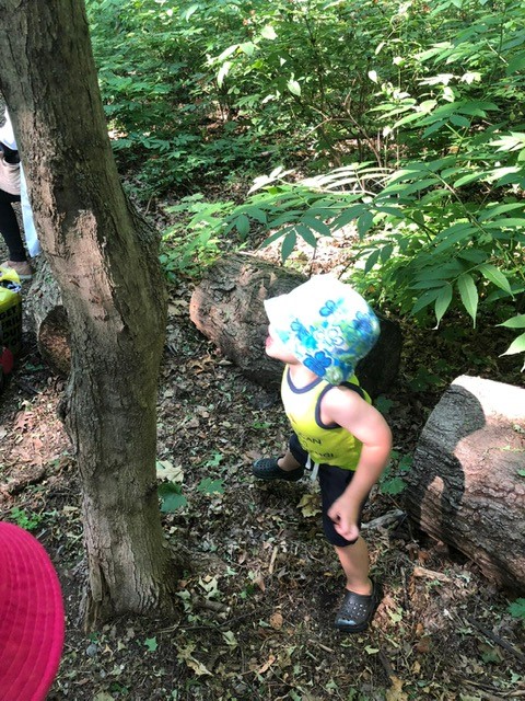 Child wearing a sunhat by a tree outside in nature