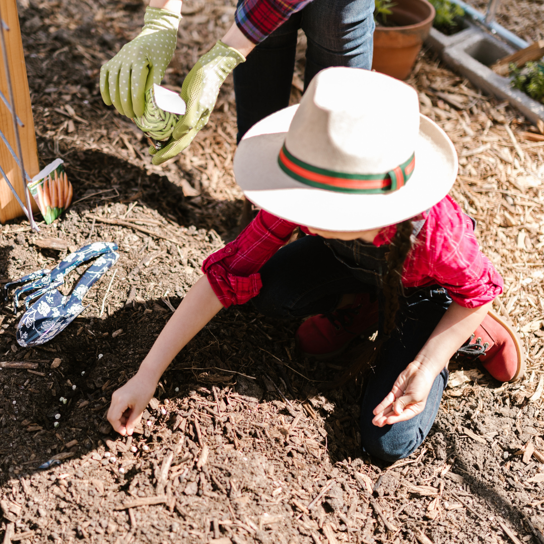 Kids planting seeds outside - Before and After School at Fred Varley PS