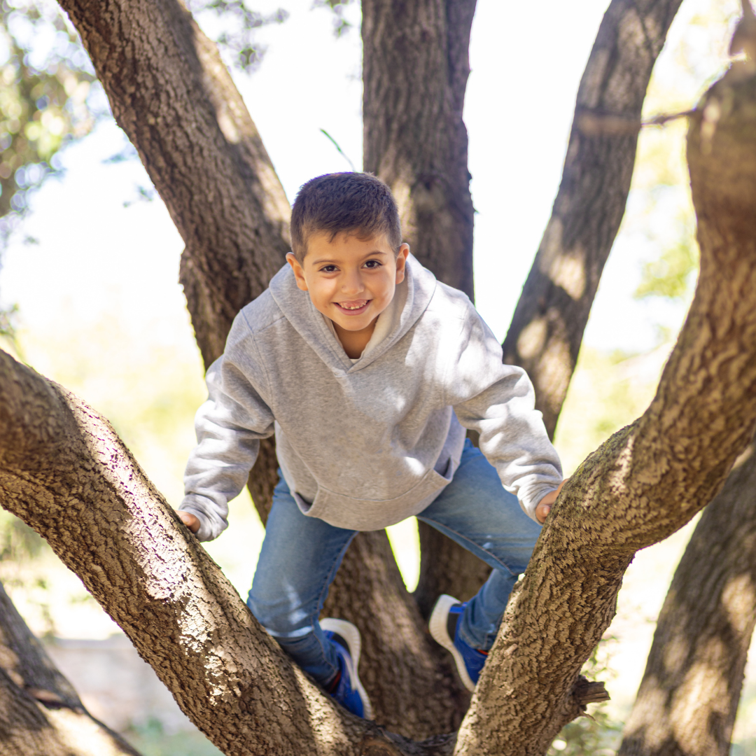 School age child climbing tree - Before and After School at Assikinack PS