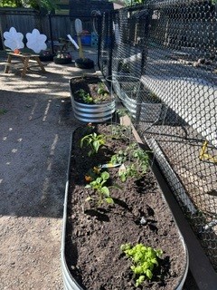 Outdoor garden beds