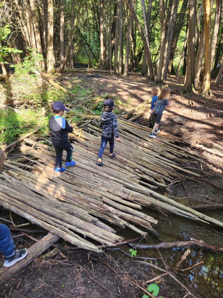Four children walking across a handmade log bridge at Upper Canada Child Care's White Pines Forest School.