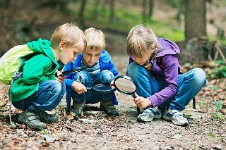 Three school age children using magnifying glasses outside in a forest