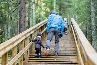 Toddler and adult walking up wooden stairs in a forest